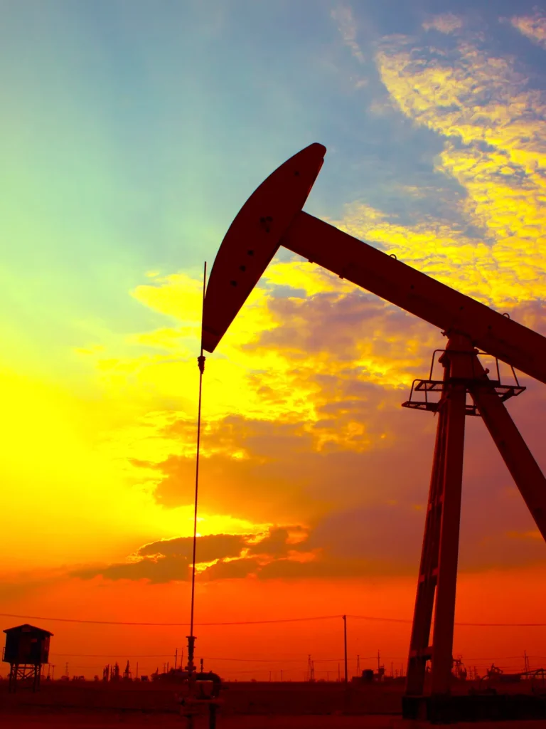 Petrochemical Industry